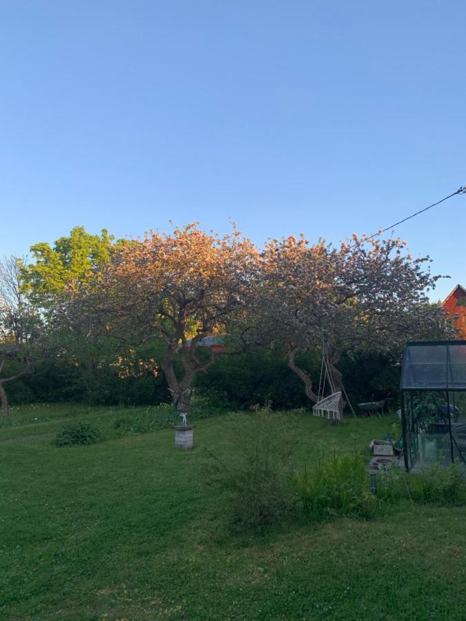 Martebo Bed & Breakfast Tingstäde 外观 照片