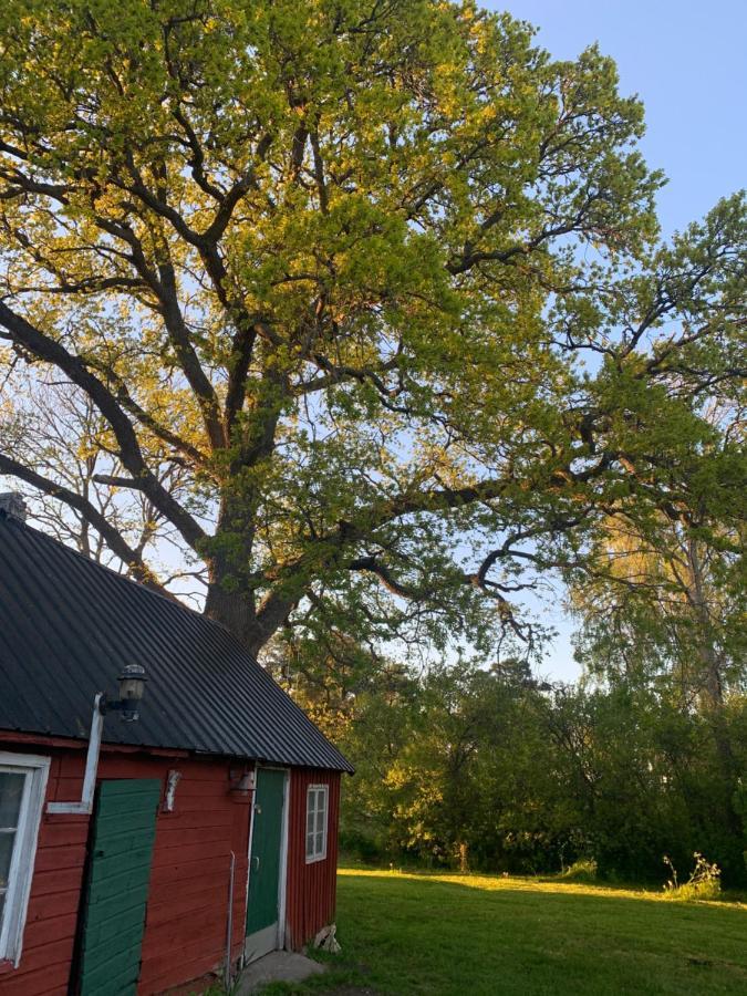 Martebo Bed & Breakfast Tingstäde 外观 照片